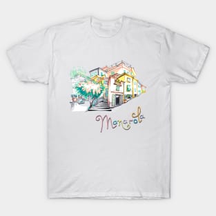 Colorful houses in Manarola, Ligury, Italy T-Shirt